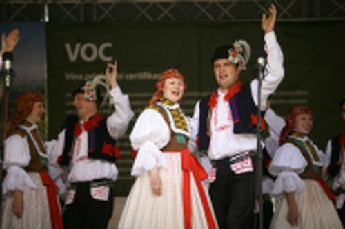 Festival vína VOC Znojmo