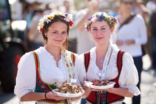 Festival vína VOC Znojmo