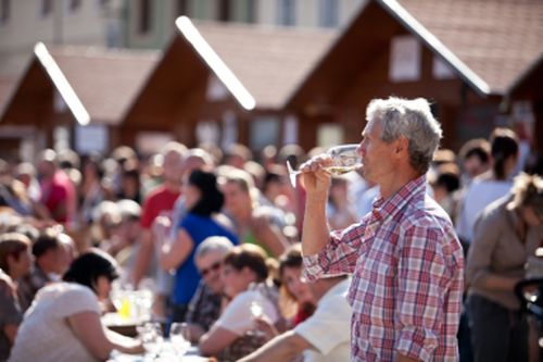 Festival vína VOC Znojmo