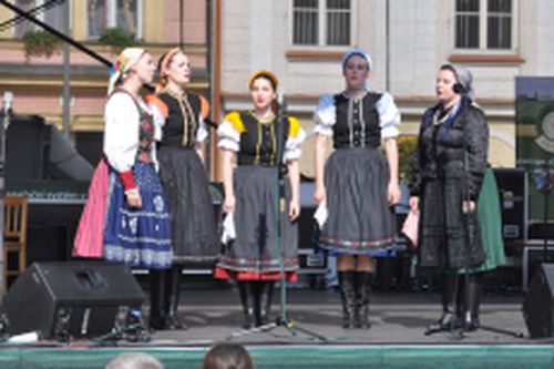 Festival vína VOC Znojmo