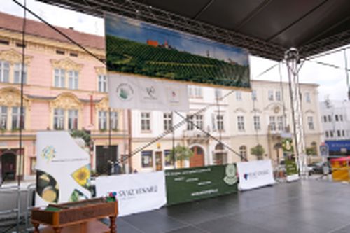 Festival vína VOC Znojmo