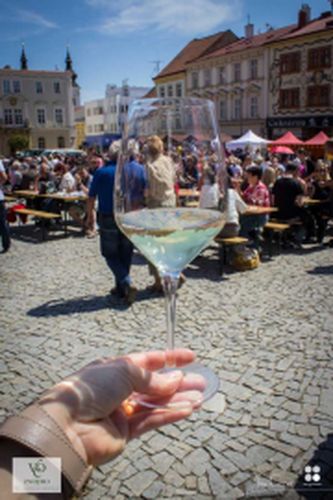 Festival vína VOC Znojmo