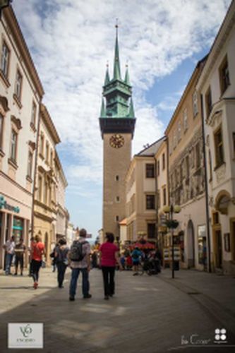 Festival vína VOC Znojmo