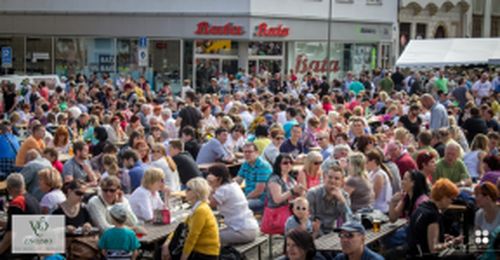 Festival vína VOC Znojmo