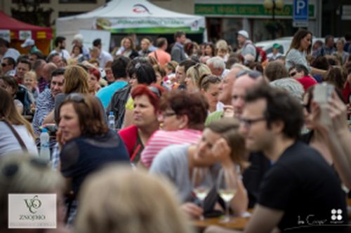 Festival vína VOC Znojmo