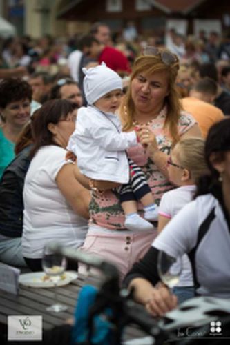 Festival vína VOC Znojmo