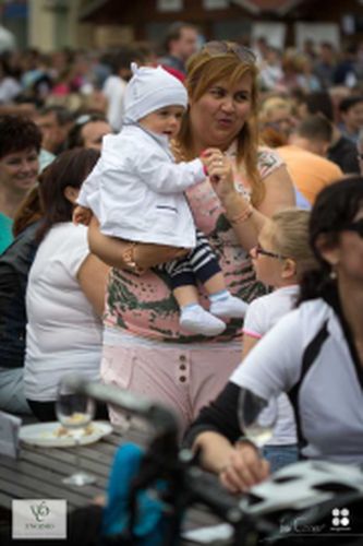 Festival vína VOC Znojmo