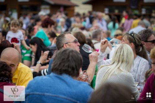 Festival vína VOC Znojmo