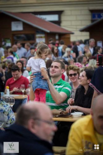 Festival vína VOC Znojmo