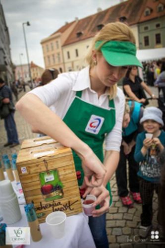 Festival vína VOC Znojmo