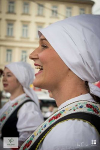 Festival vína VOC Znojmo