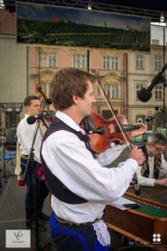 Festival vína VOC Znojmo