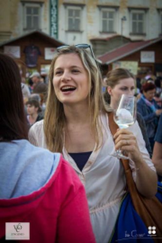 Festival vína VOC Znojmo