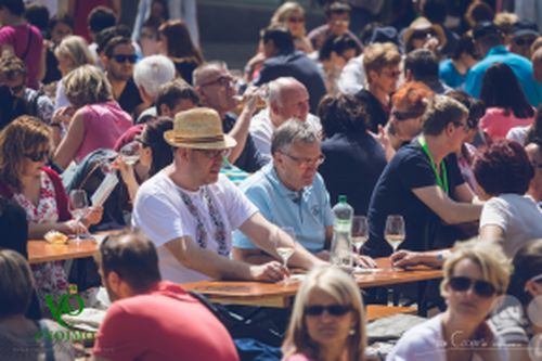 Festival vína VOC Znojmo