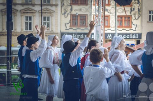 Festival vína VOC Znojmo