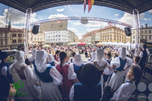 Festival vína VOC Znojmo