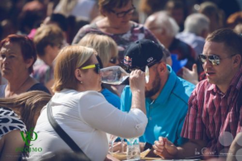 Festival vína VOC Znojmo