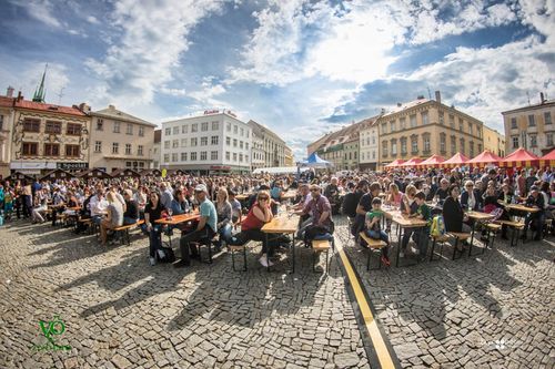 Festival vína VOC Znojmo