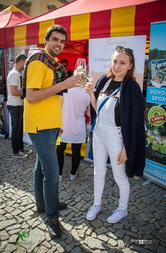 Festival vína VOC Znojmo