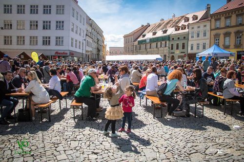 Festival vína VOC Znojmo