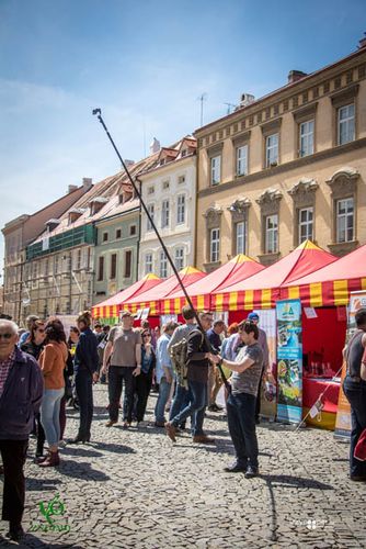 Festival vína VOC Znojmo