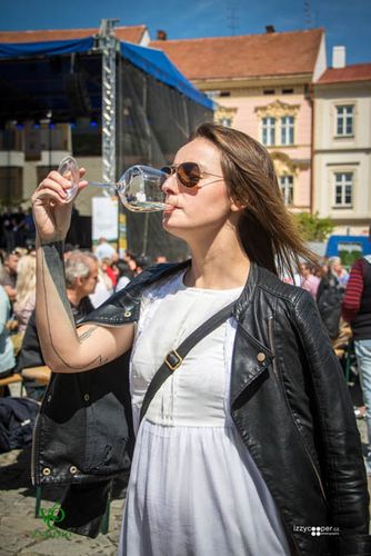 Festival vína VOC Znojmo