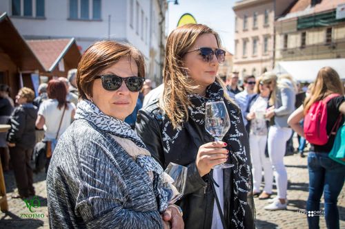 Festival vína VOC Znojmo