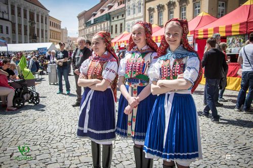 Festival vína VOC Znojmo