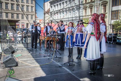 Festival vína VOC Znojmo