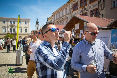 Festival vína VOC Znojmo