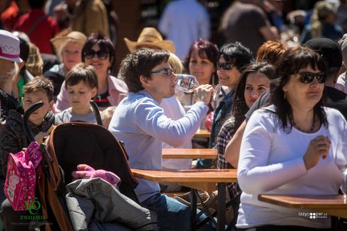 Festival vína VOC Znojmo