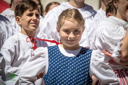 Festival vína VOC Znojmo