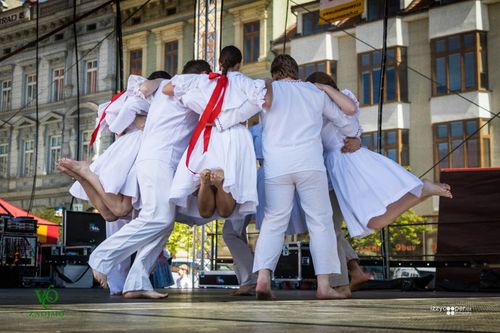 Festival vína VOC Znojmo