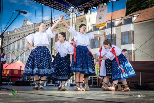 Festival vína VOC Znojmo