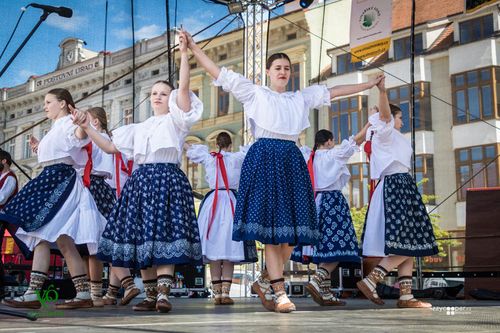 Festival vína VOC Znojmo