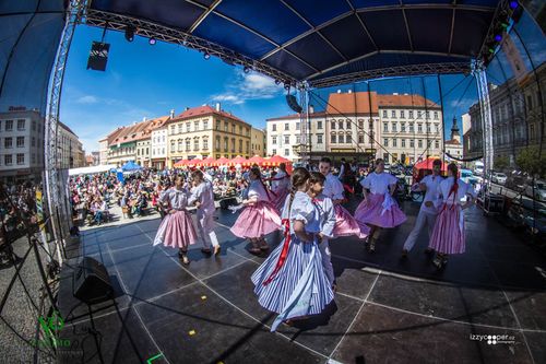 Festival vína VOC Znojmo