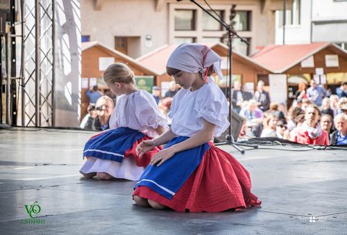 Festival vína VOC Znojmo