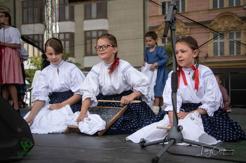 Festival vína VOC Znojmo