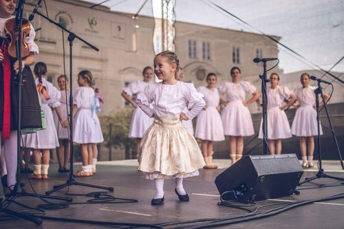 Festival vína VOC Znojmo