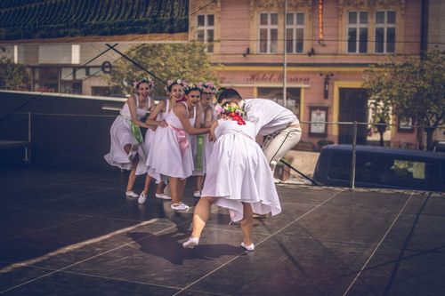 Festival vína VOC Znojmo