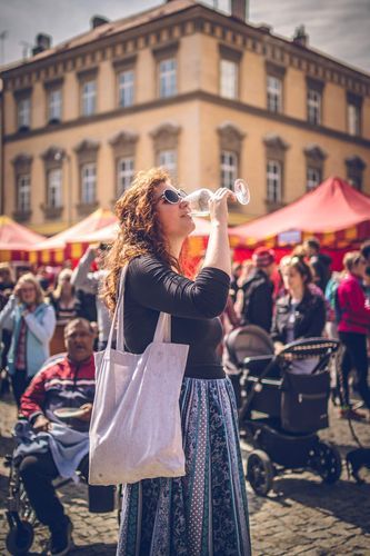 Festival vína VOC Znojmo