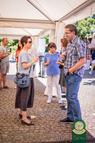 Festival vína VOC Znojmo