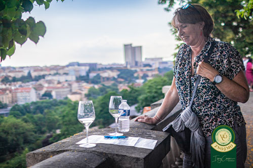 Festival vína VOC Znojmo