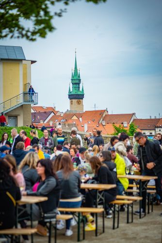 Festival vína VOC Znojmo