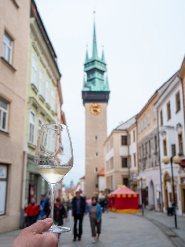 Festival vína VOC Znojmo