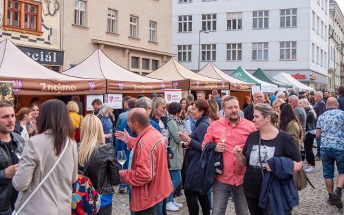 Festival vína VOC Znojmo