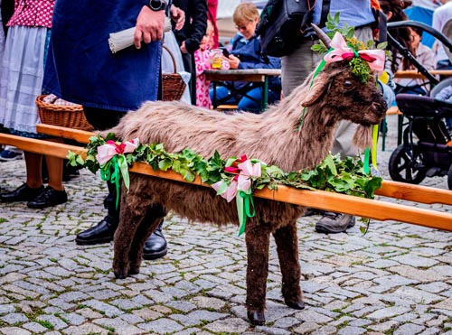 Festival vína VOC Znojmo