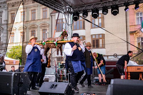 Festival vína VOC Znojmo