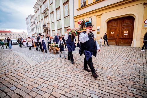 Festival vína VOC Znojmo