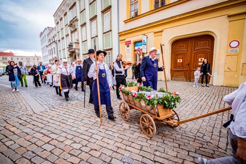 Festival vína VOC Znojmo